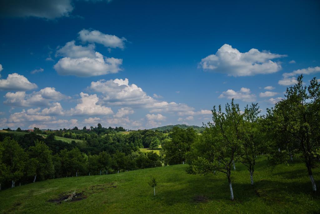 Guest House Tena Slunj Zewnętrze zdjęcie